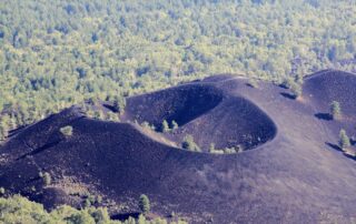 la foto mostra un cratere dell'etna immerso nella natura rigogliosa verde che spicca per il suo colore nero e la foto è stata scattata da Geo Etna Explorer